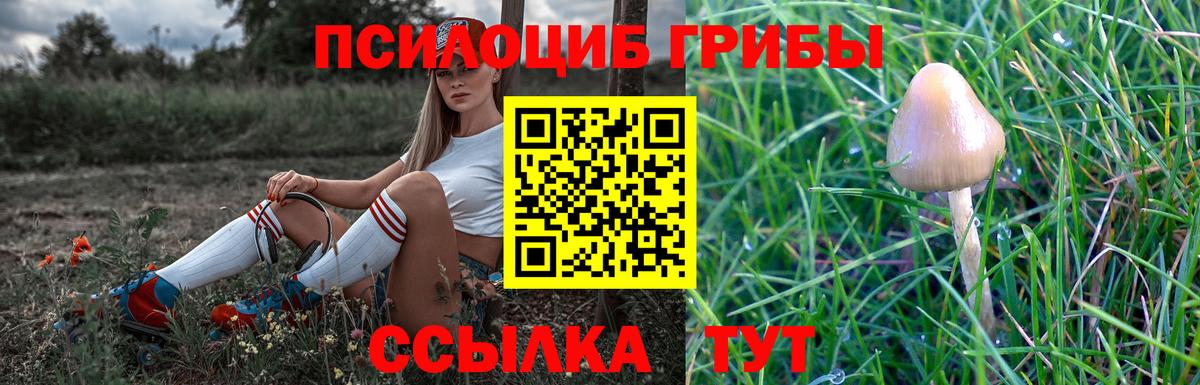Галлюциногенные грибы Cubensis Кингисепп