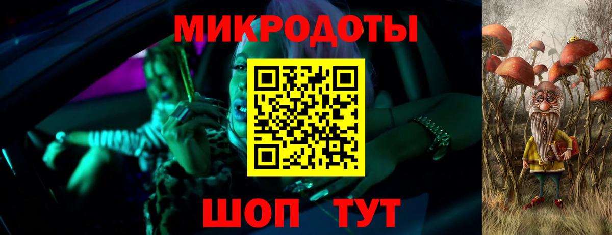 Кингисепп  Псилоцибиновые грибы Cubensis  Вход с VPN 